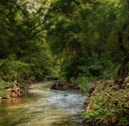 Screenshot 2024-08-02 at 9.44.24 AM.png